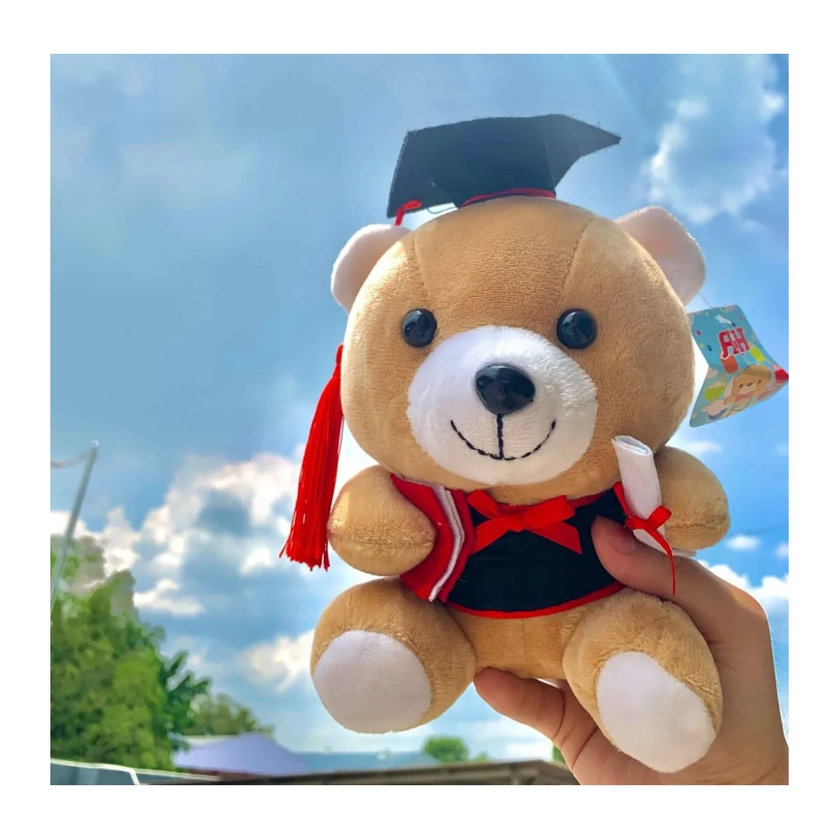 Graduation Bear Soft Toy – Small and Large Sizes